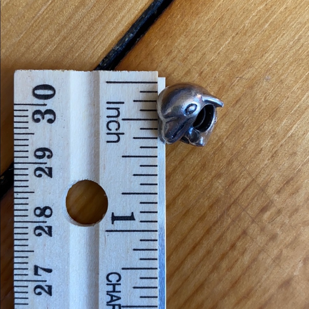 Pandora dolphin charm